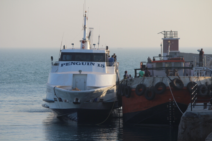 Ships at Mandvi Trade Port