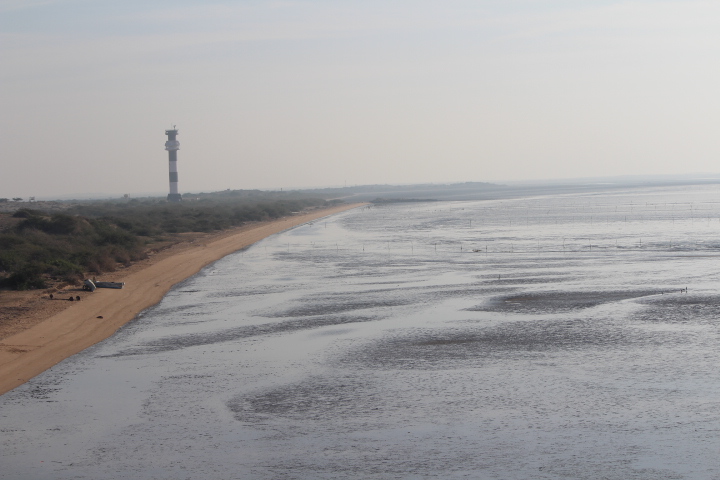Koteshwar Beach Gujarat